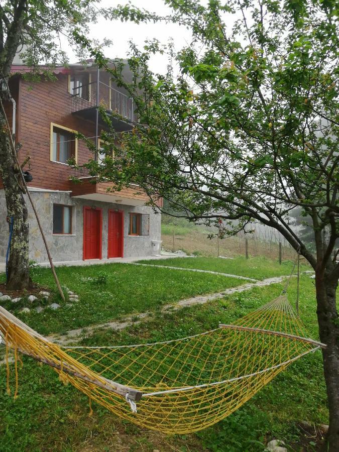 Ayder Palas Apart Hotel 外观 照片